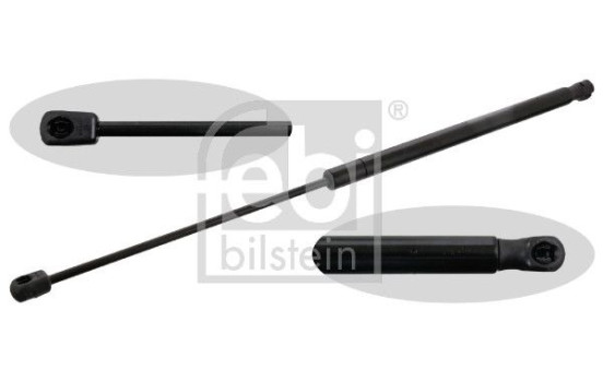 gas spring 48695 FEBI, Image 2