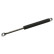gas spring, bonnet 08823 FEBI
