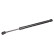 Gas Spring, bonnet 101782 FEBI