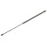 Gas Spring, bonnet 112 053 Topran, Thumbnail 2