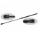gas spring, bonnet 27693 FEBI