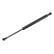 Gas Spring, bonnet 501 286 Topran, Thumbnail 2