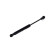 Gas Spring, bonnet GS0636 Magneti Marelli