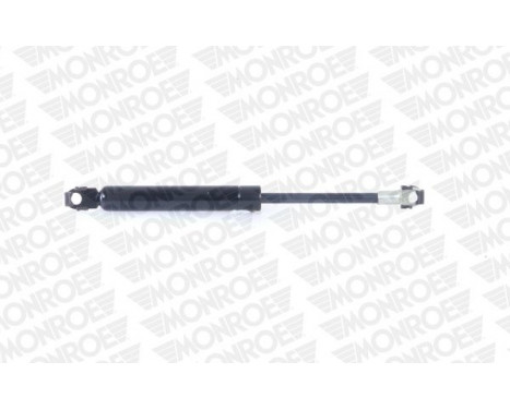 Gas Spring, bonnet ML5522 Monroe