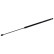 Gas Spring, boot-/cargo area 171788 FEBI