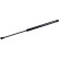 Gas Spring, boot-/cargo area 171823 FEBI