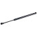 Gas Spring, boot-/cargo area 47116 FEBI