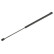 Gas Spring, boot-/cargo area 700 698 Topran, Thumbnail 2