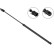 Gas Spring, boot-/cargo area //  ELEKTRO-LIFT 942863 Stabilus