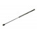 Gas Spring, boot-/cargo area GS0143 Magneti Marelli