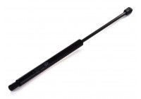 Gas Spring, boot-/cargo area GS0573 Magneti Marelli