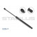 Gas Spring, boot-/cargo area //  LIFT-O-MAT® 794469 Stabilus