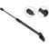 Gas Spring, boot-/cargo area //  LIFT-O-MAT® 848951 Stabilus