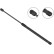 Gas Spring, boot-/cargo area //  LIFT-O-MAT® 924464 Stabilus