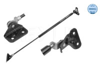 Gas Spring, boot-/cargo area MEYLE-ORIGINAL: True to OE. 33-40 910 0000