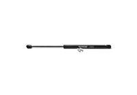 Gas Spring, boot-/cargo area ML6378 Monroe