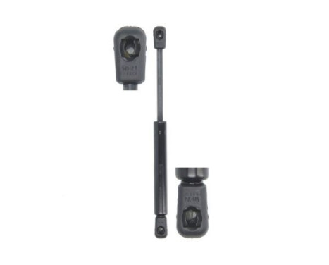 Gas spring, door, Image 2