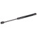 Gas spring, hood 103844 FEBI