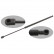 gas spring, hood 29257 FEBI