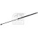 gas spring, hood 29257 FEBI, Thumbnail 2