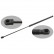 gas spring, hood 29434 FEBI