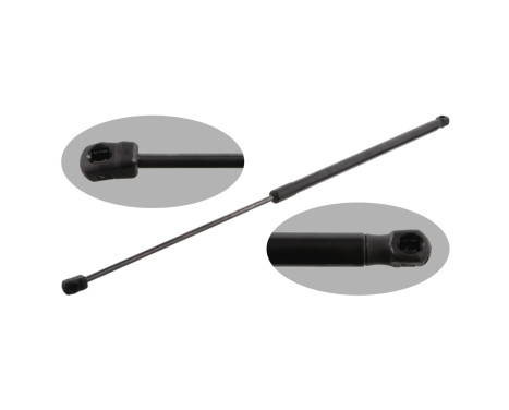 gas spring, hood 31629 FEBI