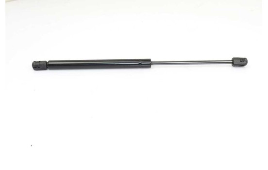 Gas spring, hood, Image 2