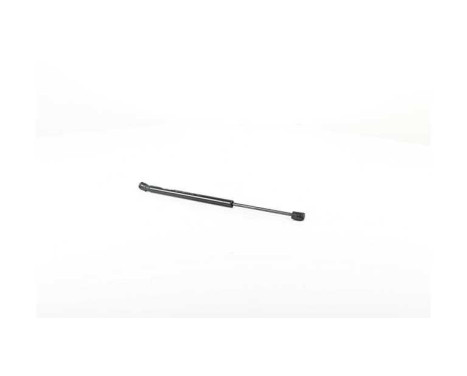 Gas spring, hood, Image 2