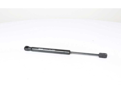 Gas spring, hood, Image 2