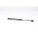 Gas spring, hood, Thumbnail 2