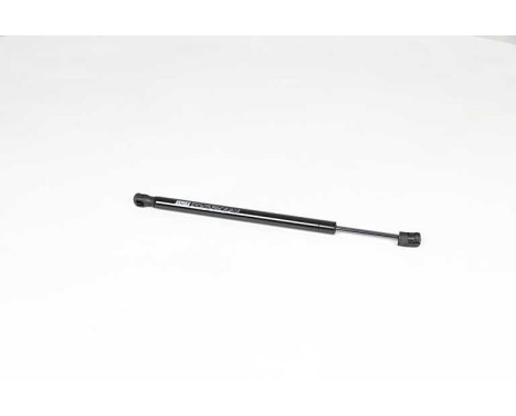 Gas spring, hood, Image 2