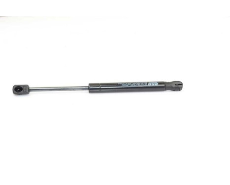 Gas spring, hood, Image 2