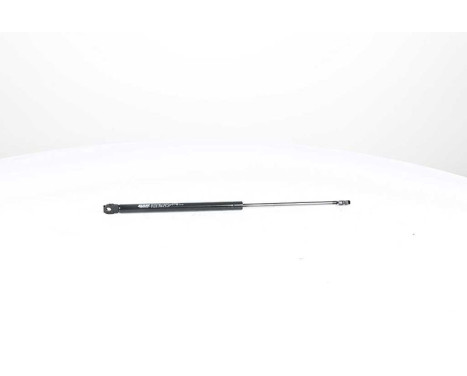 Gas spring, hood, Image 2