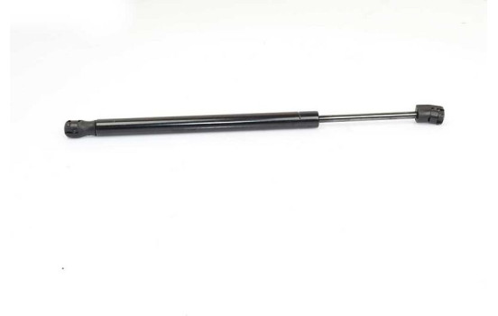 Gas spring, hood, Image 2