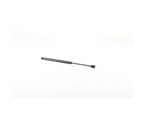 Gas spring, hood, Image 2