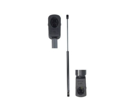 Gas spring, hood