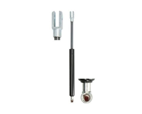 Gas spring, hood