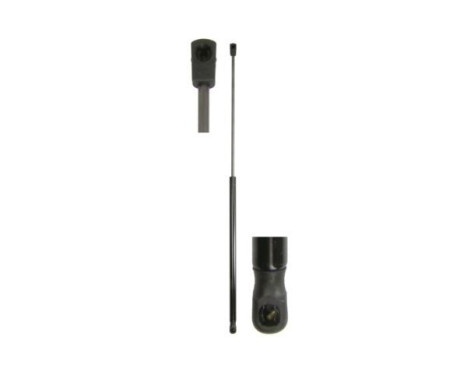 Gas spring, hood