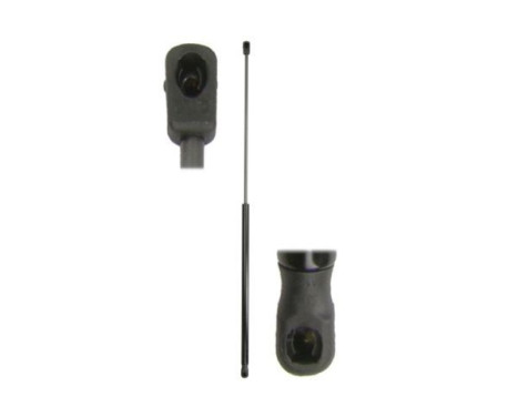 Gas spring, hood