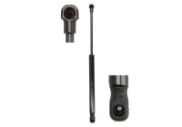 Gas spring, hood