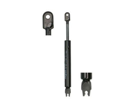 Gas spring, roof