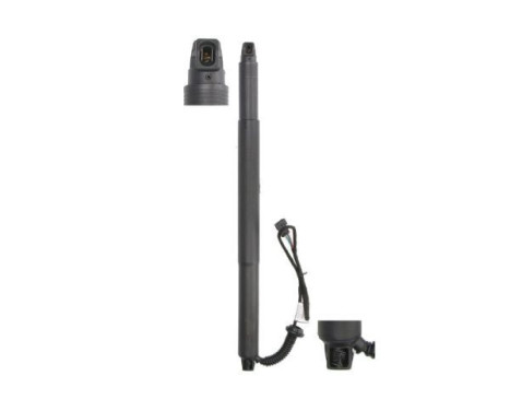 Gas spring, shelf (Trunk/Cargo area)