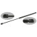 gas spring, trunk 05755 FEBI