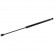 Gas spring, trunk 174354 FEBI
