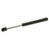 gas spring, trunk 17589 FEBI
