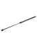 Gas spring, trunk 177362 FEBI