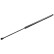 Gas spring, trunk 177464 FEBI