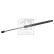 Gas spring, trunk 177465 FEBI