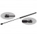gas spring, trunk 17880 FEBI