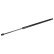 Gas spring, trunk 179974 FEBI